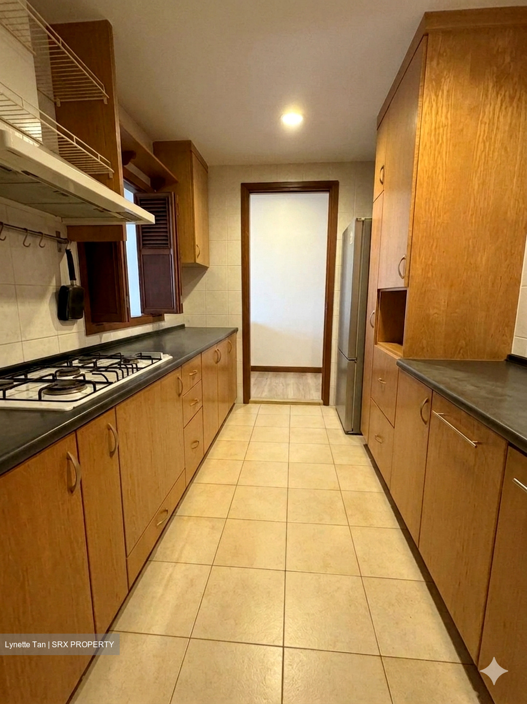 Tanglin View (D3), Condominium #557850471